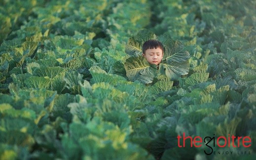 Đỗ Xuất Bút - vừa là tác giả của các bộ ảnh, vừa là chú của Minh Phong chia sẻ: “Mỗi lần chụp ảnh với Minh Phong, ban đầu, bé rất hứng khởi và rất hợp tác với tất cả các concept của nhiếp ảnh. Từ cách tạo dáng, làm mẫu, điệu bộ...đều rất chuyên nghiệp và theo ý đồ của mình. Tuy nhiên, sau khi chụp 50 đến 100 tấm, khoảng 20-30 phút chụp sau đó, bé lanh lợi và bảo mệt mỏi để được thư giãn ít nhiều. Minh Phong rất khôn”.