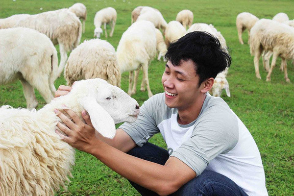 Có một "cánh đồng cừu" đẹp như mơ cách Sài Gòn chỉ 2 tiếng chạy xe