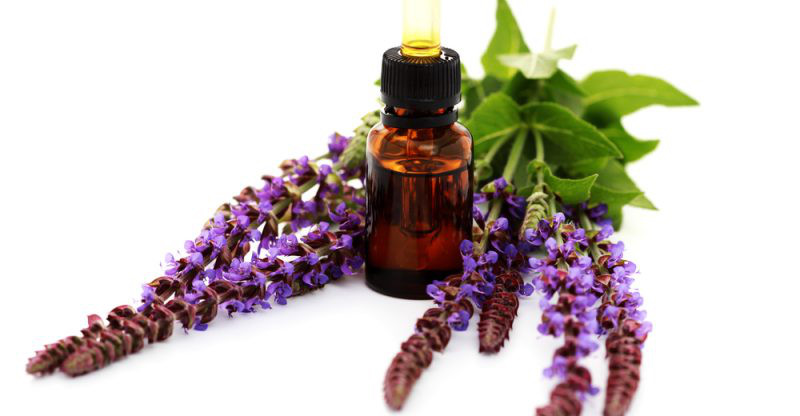 10 tinh dau thien nhien chong lao hoa va ngua nep nhan cuc hieu qua hinh 8