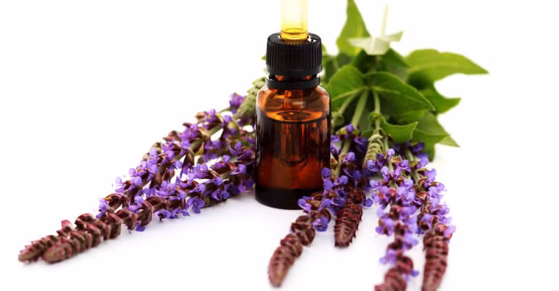 10 tinh dau thien nhien chong lao hoa va ngua nep nhan cuc hieu qua hinh 8