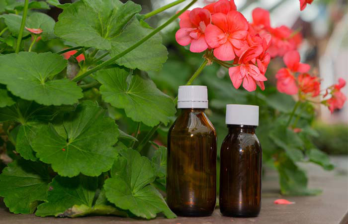 10 tinh dau thien nhien chong lao hoa va ngua nep nhan cuc hieu qua hinh 7