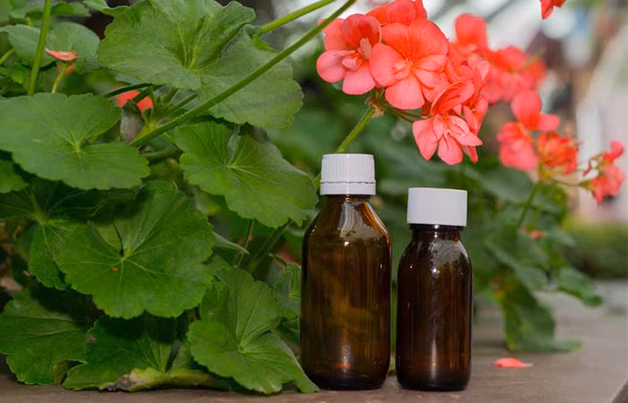 10 tinh dau thien nhien chong lao hoa va ngua nep nhan cuc hieu qua hinh 7