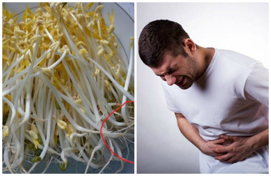 nhung-nguoi-tuyet-doi-khong-an-gia-do-vi-cuc-doc-phunutoday1