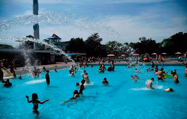 Cảnh báo ký sinh trùng trong bể bơi, nó nguy hiểm đến mức có thể "quật ngã" người khoẻ mạnh