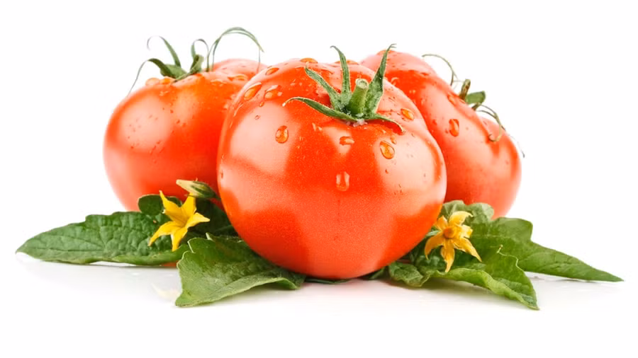 lan da tu dong het nhon mun trung ca voi 7 loai thuc pham nay