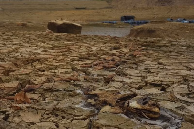 Han han ghe gom o mien Trung, ho thuy dien can nuoc khien thuy dien ngung hoat dong hinh anh 2