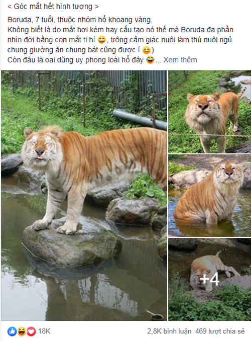 Chia sẻ nhận được hàng chục nghìn lượt thích.