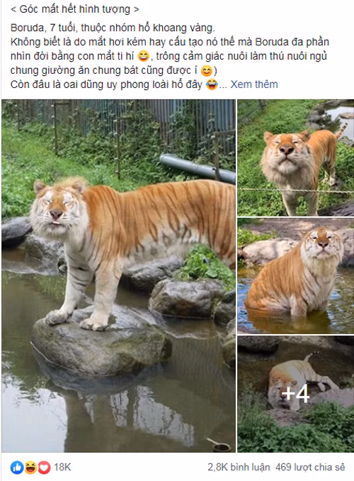 Chia sẻ nhận được hàng chục nghìn lượt thích.