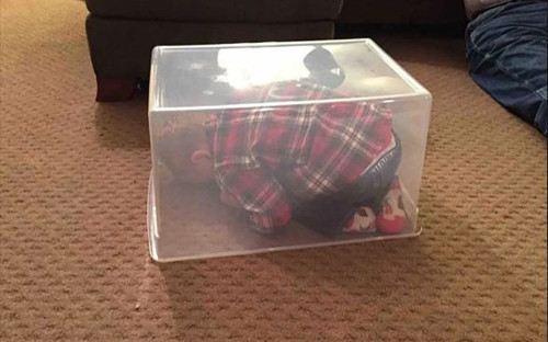 Con đã trốn kỹ lắm rồi cơ mà.