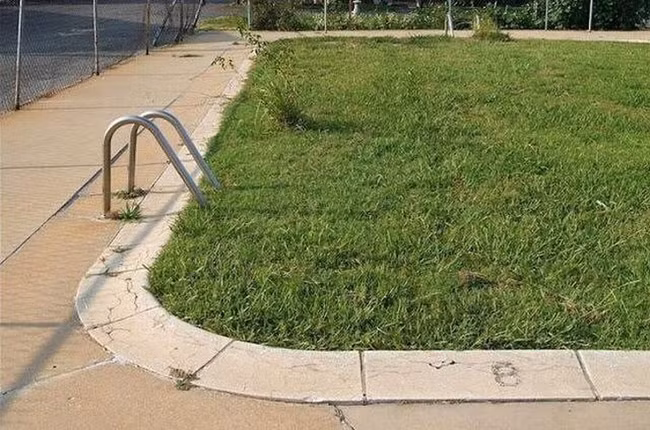 nhung hinh anh hiem co kho tim trong cuoc song hinh anh 10