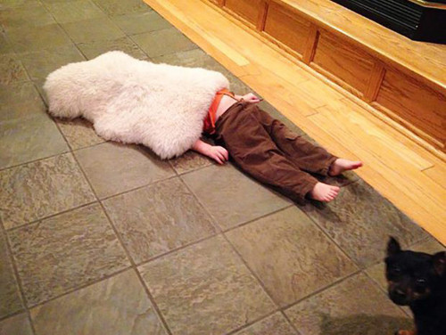 Con cún kia ra chỗ khác nào.