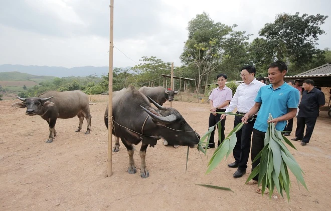 Điện Biên: 6 tháng đầu năm 2019, giải quyết việc làm mới cho trên 5.000 lao động