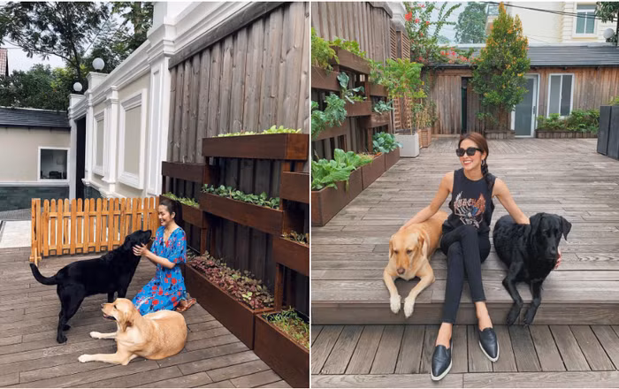 Những bà mẹ showbiz được chồng chiều như bà hoàng, sống trong biệt thự sang chảnh khiến dân tình chỉ biết ghen tỵ