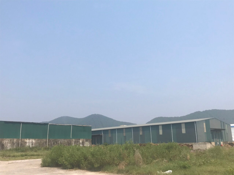 Mặc dù đã được "rót" vào nhiều chục tỷ đồng, nhưng đến nay bên trong khuôn viên nhà máy bao bì vẫn "đắp chiếu", cỏ mọc um tùm.