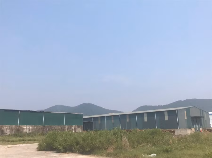 Mặc dù đã được "rót" vào nhiều chục tỷ đồng, nhưng đến nay bên trong khuôn viên nhà máy bao bì vẫn "đắp chiếu", cỏ mọc um tùm.