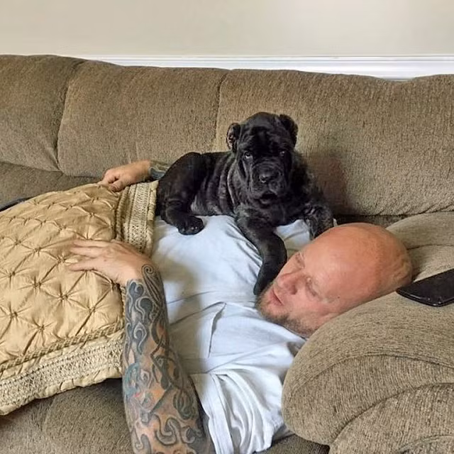 Ngạc nhiên với chú chó con lớn nhất thế giới - Hình 3