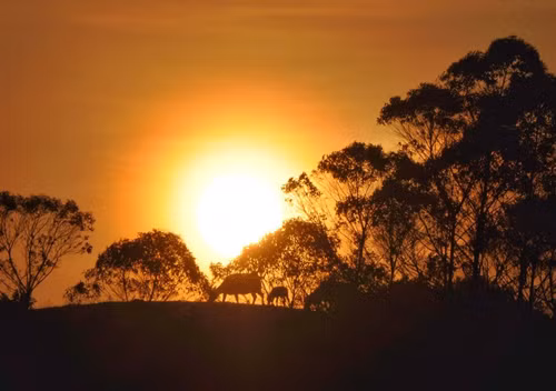 Binh minh trên đỉnh núi Mẫu Sơn (Lạng Sơn). Ảnh: Hoàng Huy. Binh minh trên đỉnh núi Mẫu Sơn (Lạng Sơn). Ảnh: Hoàng Huy.
