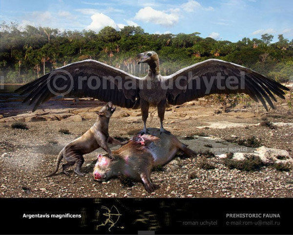 Kích thước to lớn và khó khăn với bất cứ sinh vật bay nào! Ảnh Internet.