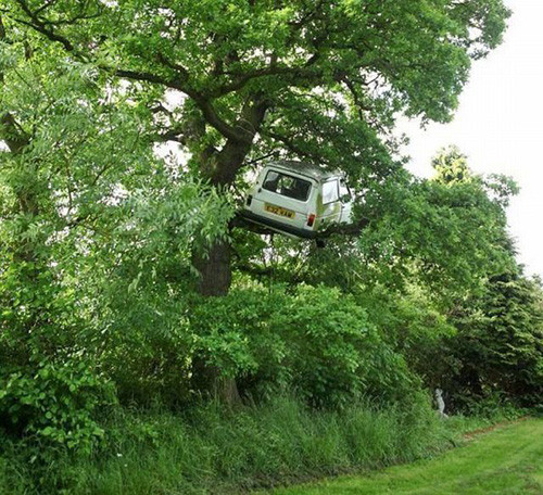 Choáng với sự sáng tạo vô biên của con người ảnh 9 Ôtô leo cây.