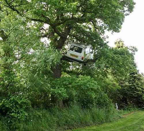 Ôtô leo cây.