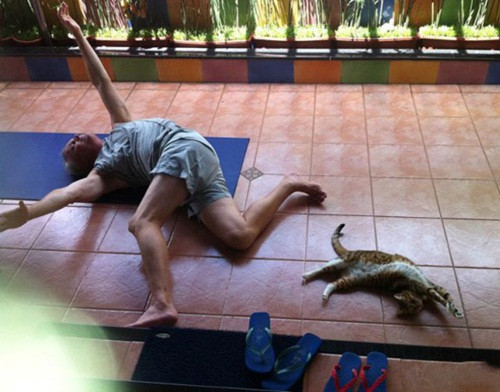 Mèo: Tưởng gì chứ động tác này tui làm suốt ngày. cuoi-te-ghe-26-11-khong-hong-nhan-nhung-bac-phan-1