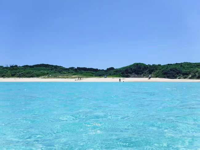 6 mối nguy khó lường khi đi biển, đừng coi thường nếu không muốn chuyến du lịch của gia đình bớt vui - Ảnh 3.