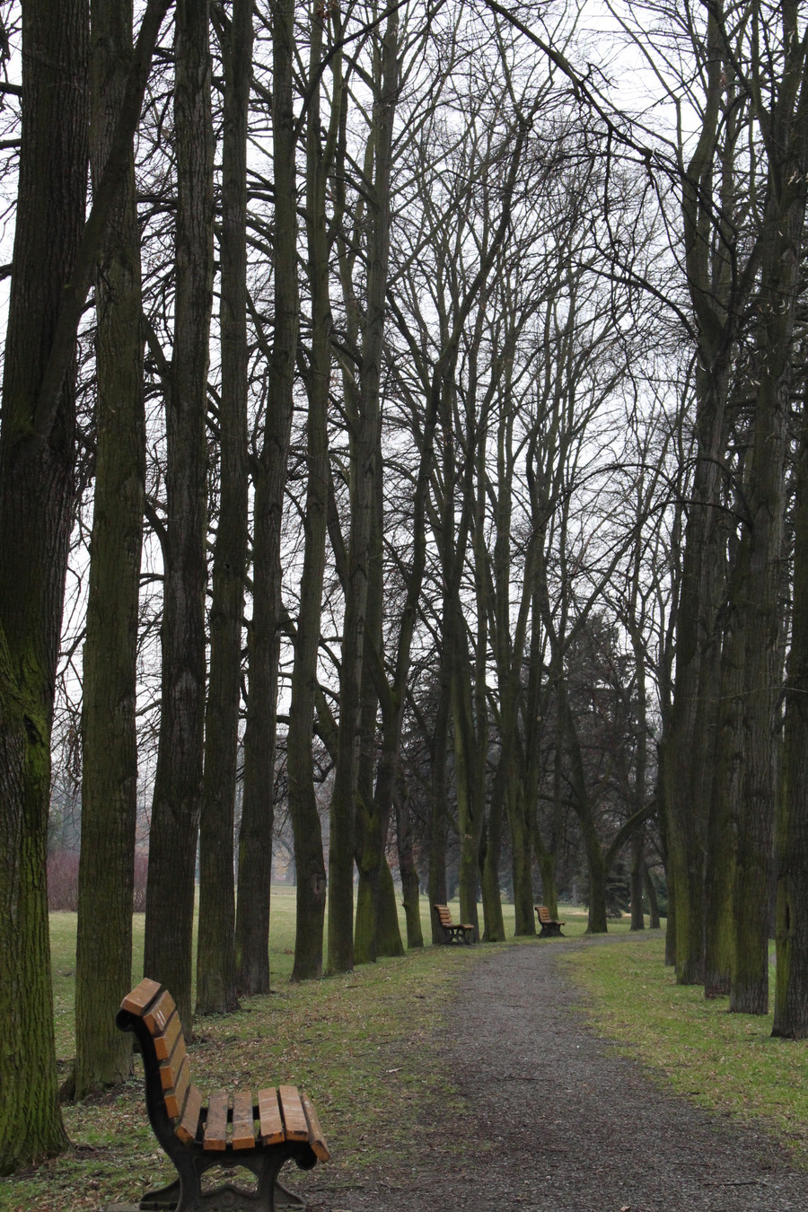 Người cha của nền giáo dục hiện đại ảnh 2