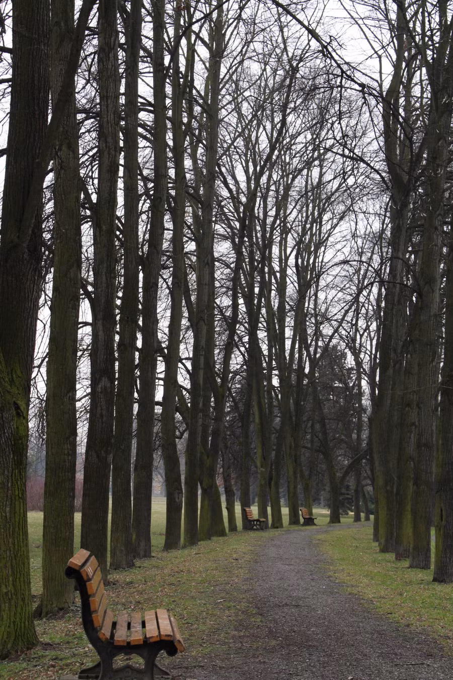 Người cha của nền giáo dục hiện đại ảnh 2