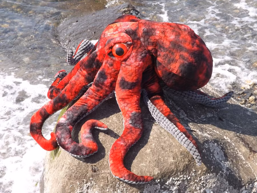 Nỗi kinh hoàng của cá mập