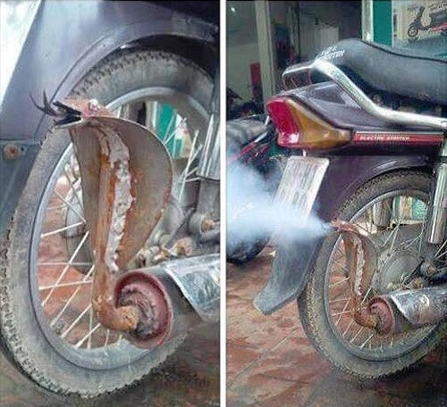 Khí thải cơ bản là rất độc. Khí thải cơ bản là rất độc.