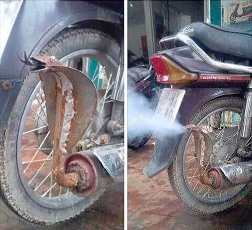 Khí thải cơ bản là rất độc.