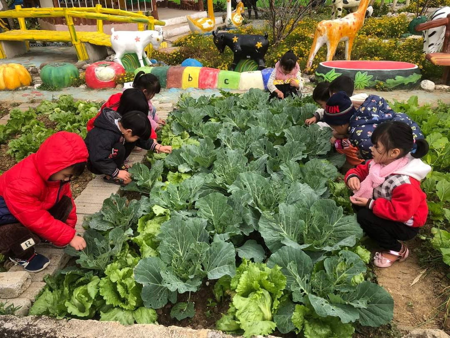 Các bé trải nghiệm tại vườn trường...