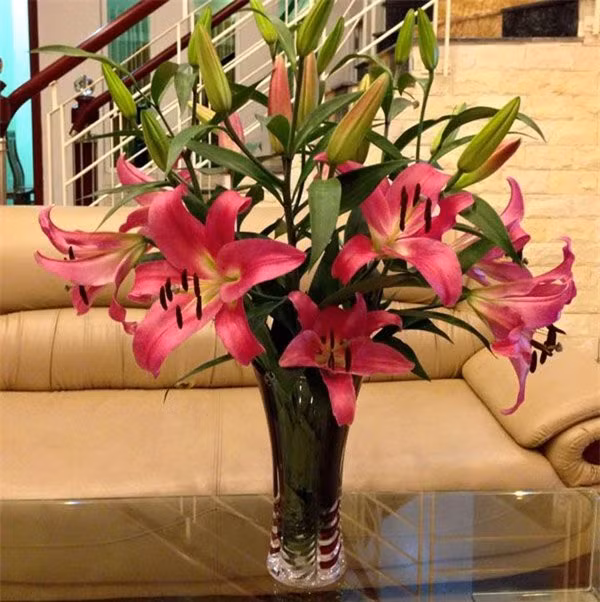 Mẹo giữ hoa tươi lâu trong 9 ngày Tết chị em nên biết-2