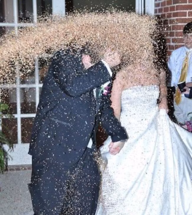 loat anh cuoi khien nguoi xem... cuoi nga nghieng hinh anh 2