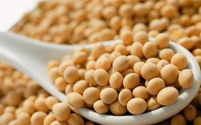 Hay ăn thịt lợn thì nhất định không được nấu chung với 4 loại thực phẩm này