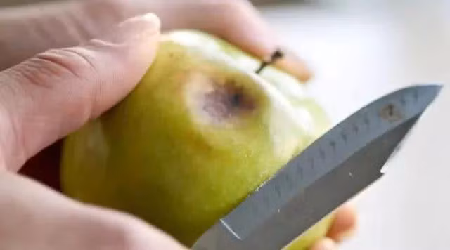 Tám thói quen&nbsp;tưởng&nbsp;hợp vệ sinh, thực chất&nbsp;lại có&nbsp;hại cho sức khỏe, thậm chí&nbsp;gây ung thư - 5