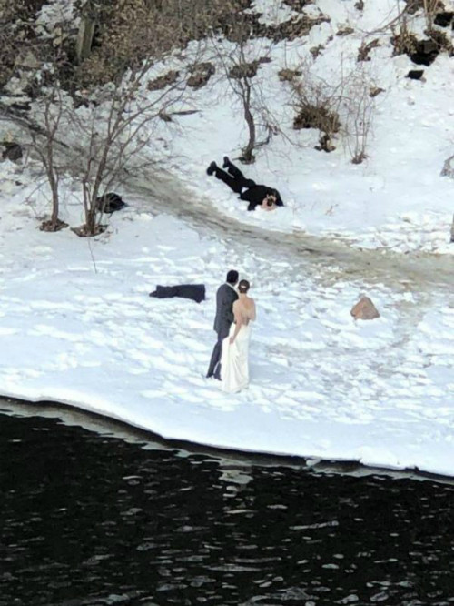 Phó nháy có tâm nhất hệ mặt trời. Phó nháy có tâm nhất hệ mặt trời.