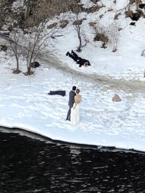 Phó nháy có tâm nhất hệ mặt trời.