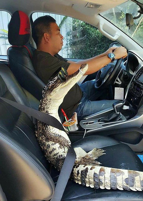 Anh rất ít khi nuôi thú cưng. Anh rất ít khi nuôi thú cưng.