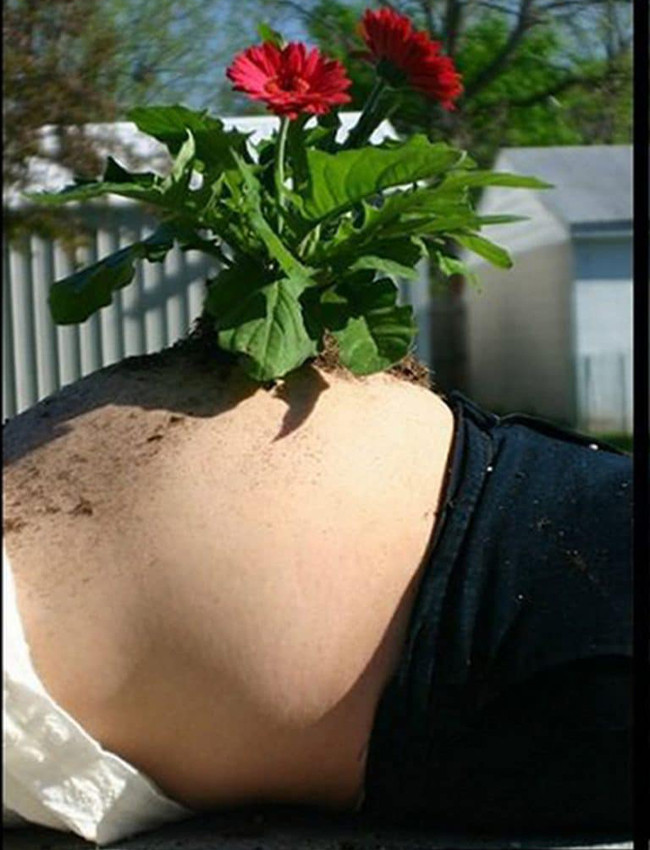 chup anh song ao cuc &quot;ngau&quot; nhu cac ba bau hinh anh 8