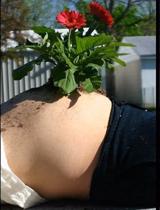 chup anh song ao cuc "ngau" nhu cac ba bau hinh anh 8