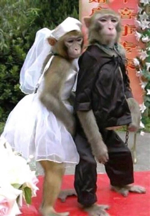 Trai tài, gái sắc. Trai tài, gái sắc.