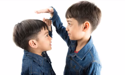 Ảnh minh hoạ: T,H