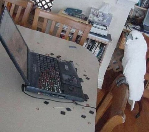 Lỡ gõ phím hơi mạnh mồm. Lỡ gõ phím hơi mạnh mồm.