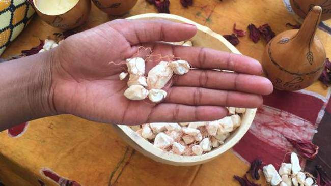 cay la &#34;nhin dau cung thay tien&#34;, chang can cham nhung co the &#34;hot bac&#34; quanh nam - 10