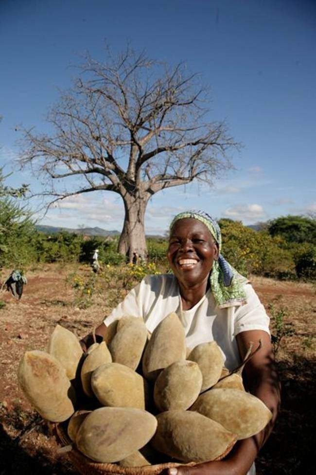 cay la &#34;nhin dau cung thay tien&#34;, chang can cham nhung co the &#34;hot bac&#34; quanh nam - 3