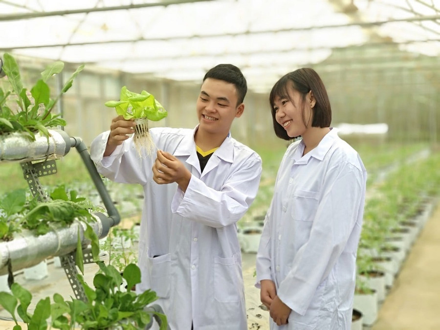 Sinh viên tại Phân hiệu Đại học Thái Nguyên tại tỉnh Lào Cai học ngành Quản lý Tài nguyên và Môi trường, nếu đi thực tập đạt điểm Xuất sắc, Giỏi, gần như 100% được các công ty giữ lại. Các ngành còn lại đa số đều có việc làm ngay sau khi tốt nghiệp.