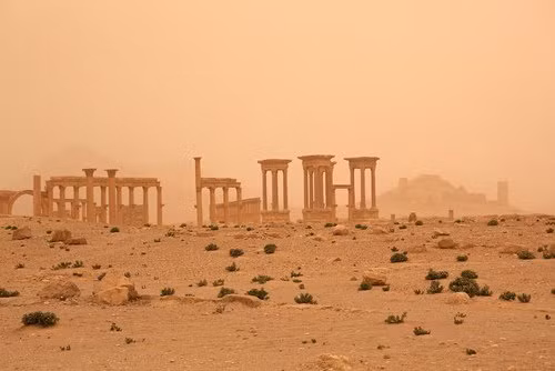  Thành phố cổ Palmyra ẩn mình giữa những triền cát bạt ngàn của sa mạc Syria. 