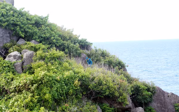  ... và tuần tra mũi Con Chuột – hòn Tre Lớn – Côn Đảo 