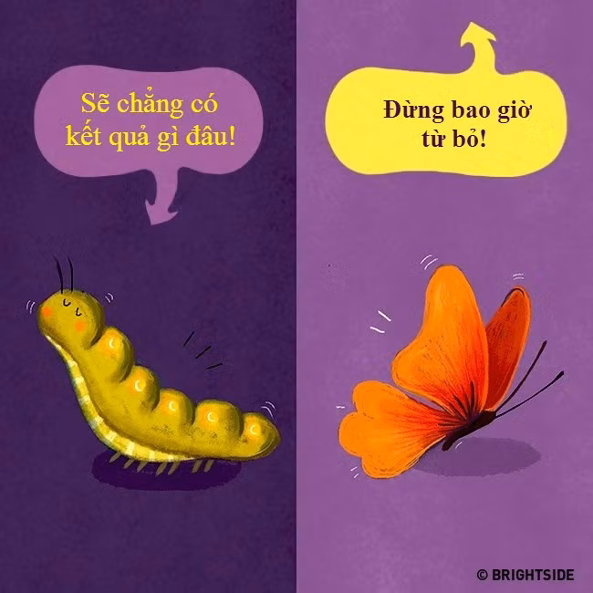 Su khac biet giua nguoi tich cuc va tieu cuc hinh anh 1